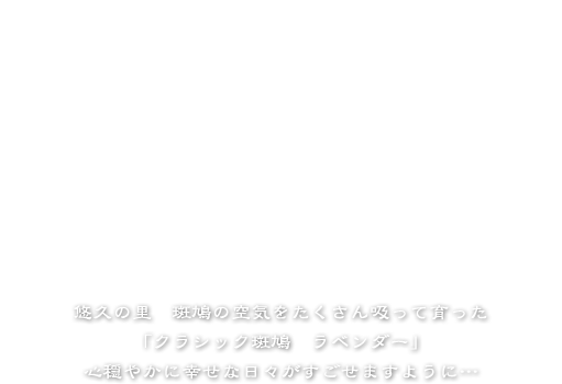 ハーブとは
