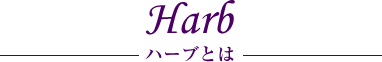 ハーブとは
